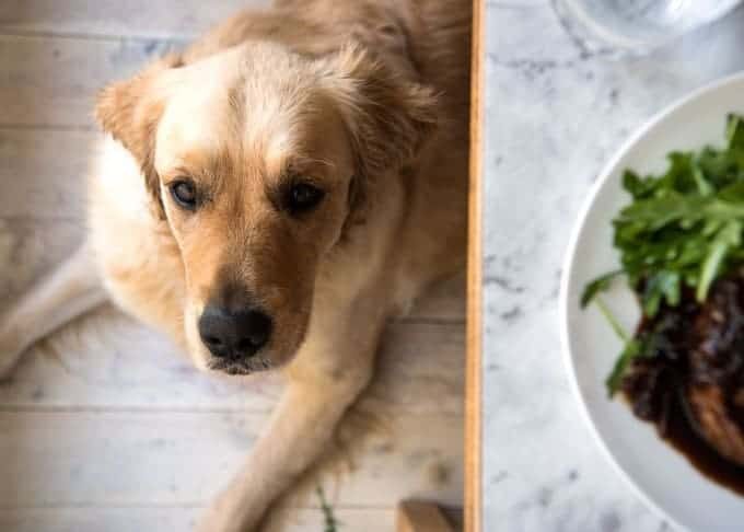 Dozer Balsamic Pork Chops_3