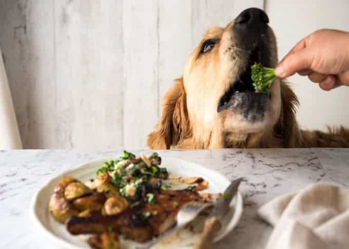 Dozer Baked Broccoli Salad