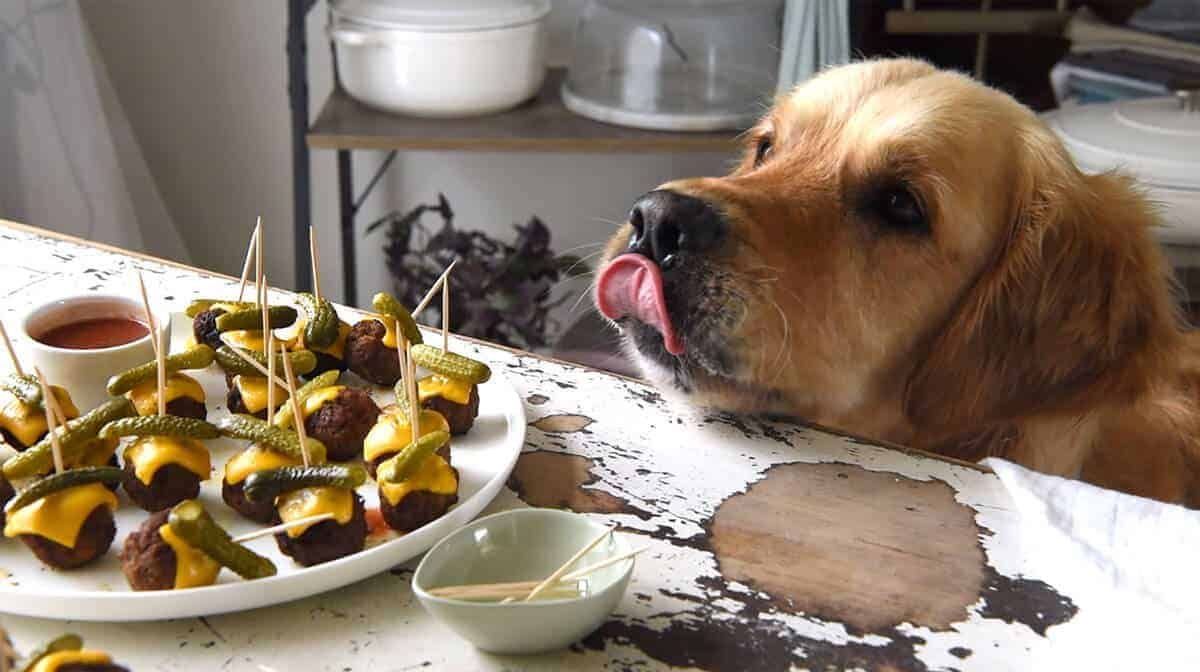 dozer-cheeseburger-meatballs