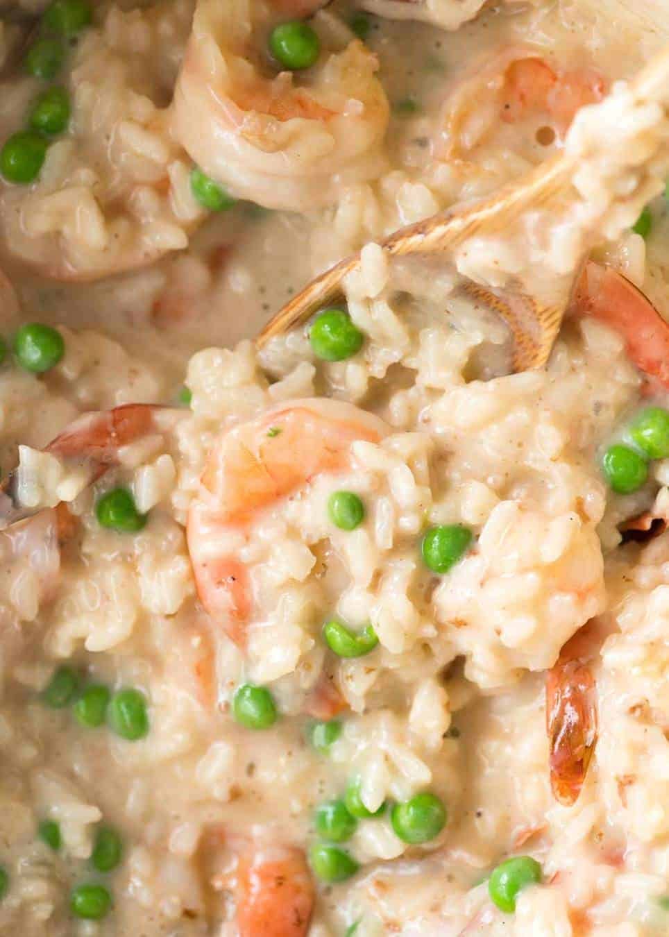 Close up of Prawn Risotto (Shrimp Risotto)