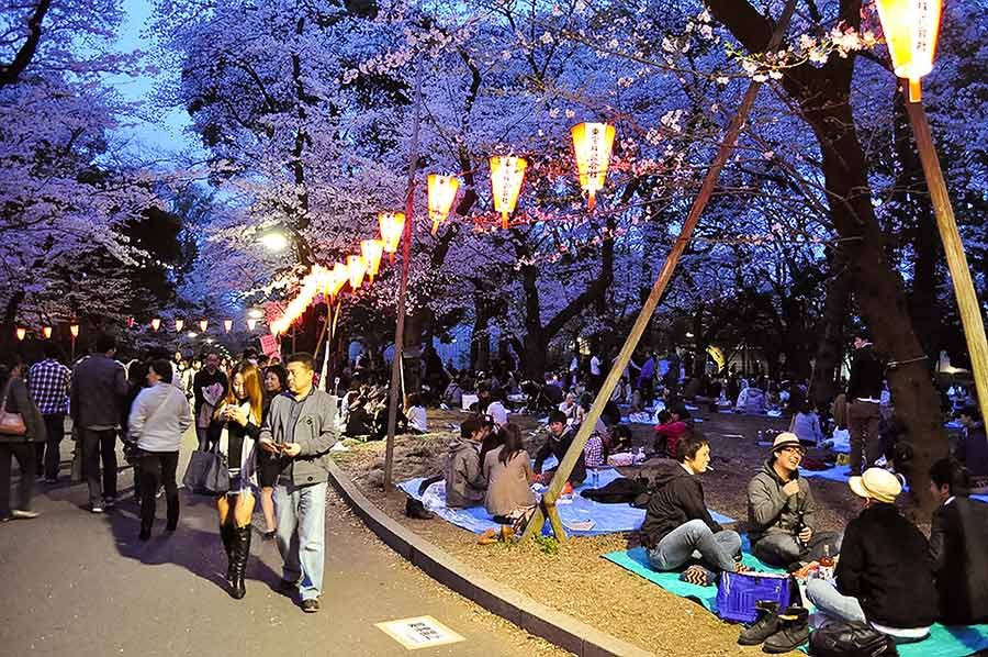 Ueno Park (Ueno Koen) during cherry blossom season at night