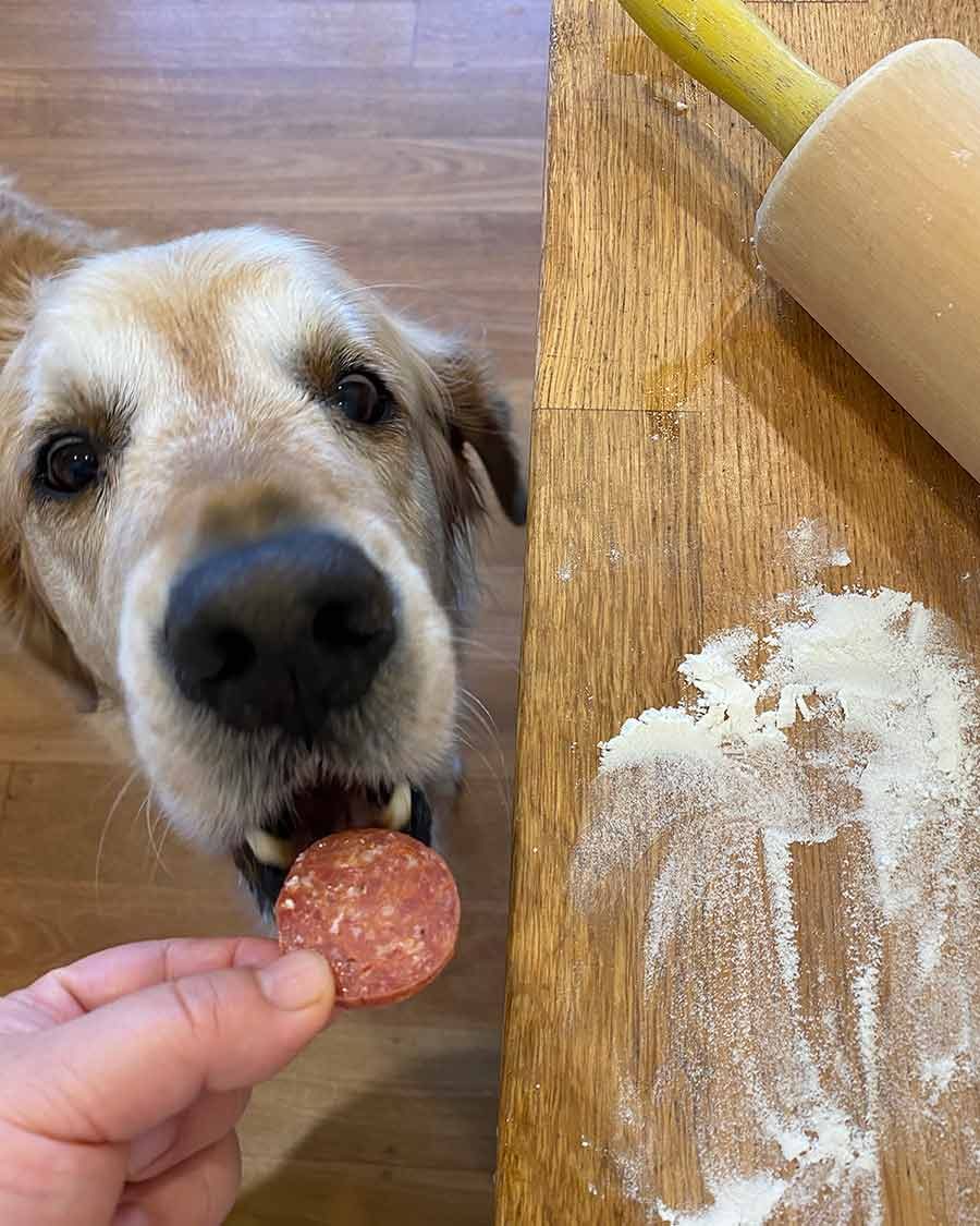 Dozer-no-yeast-pizza_1