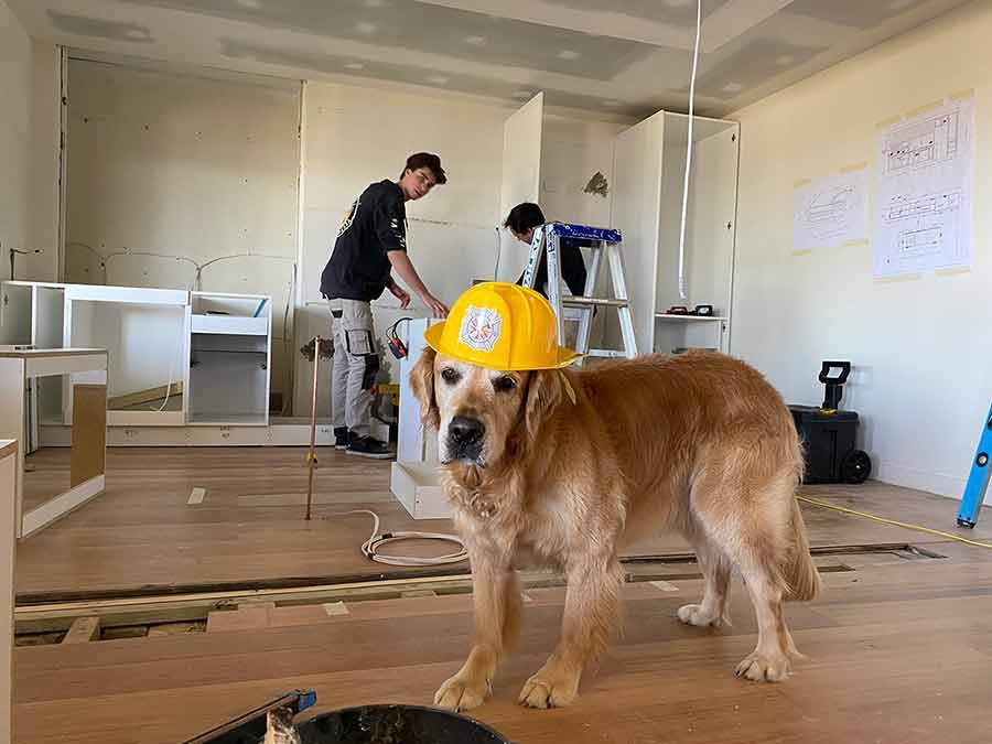 Dozer the project manager