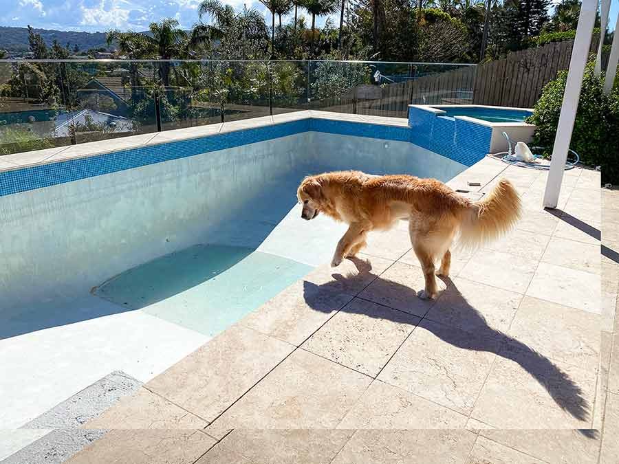 Dozer and empty pool
