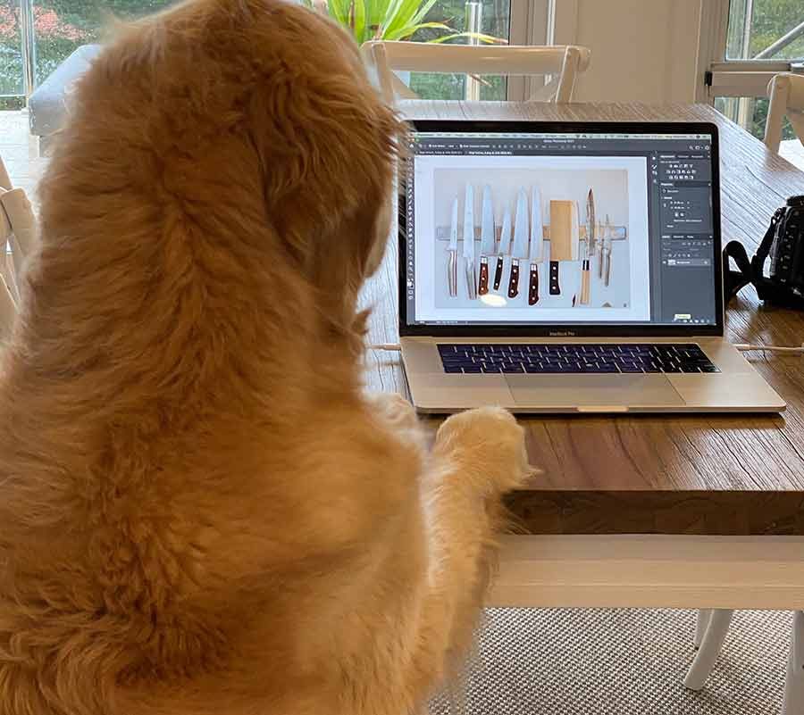 Dozer checking out knife post