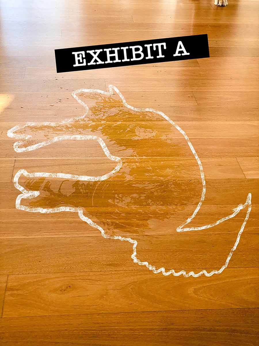 Dozer wet patch outline on floor