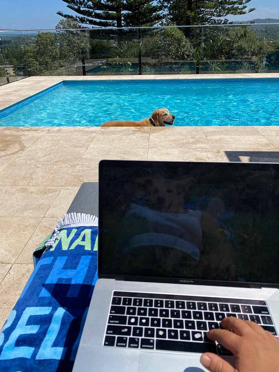 Dozer in pool while Nagi is working