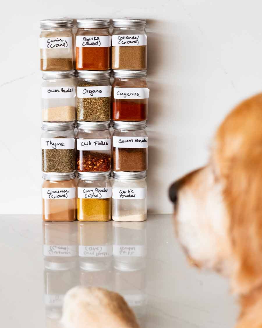 Dozer photo bombing spics photo