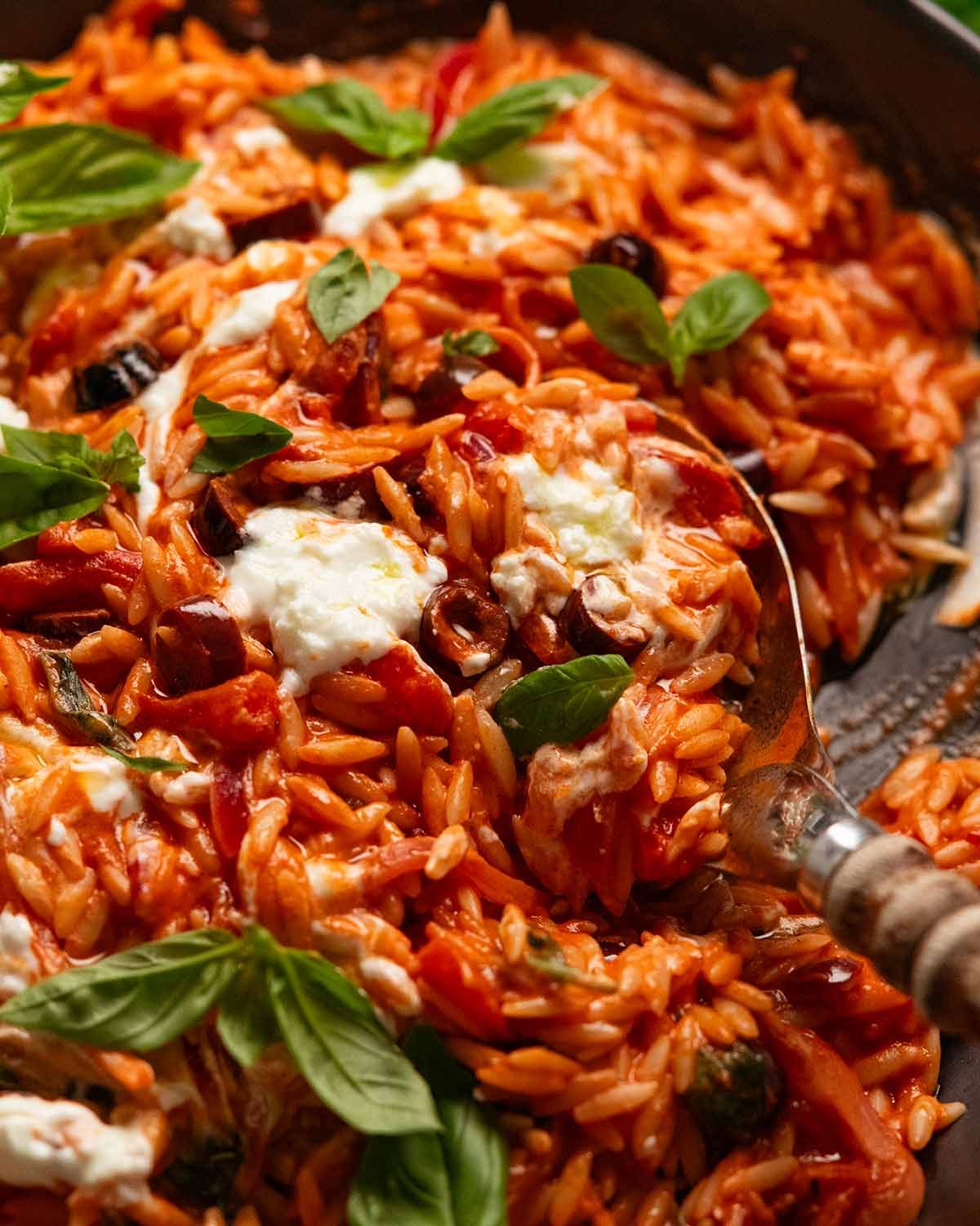 Roasted Red Pepper Goat Cheese Risoni / Orzo