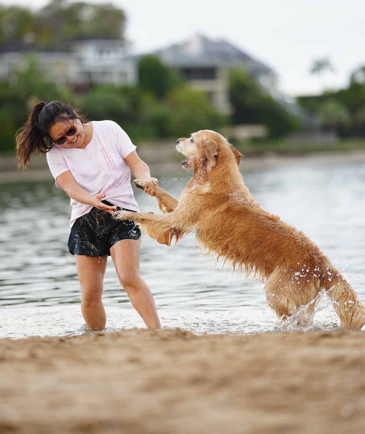 Dozer Nagi at Bayview May 2022