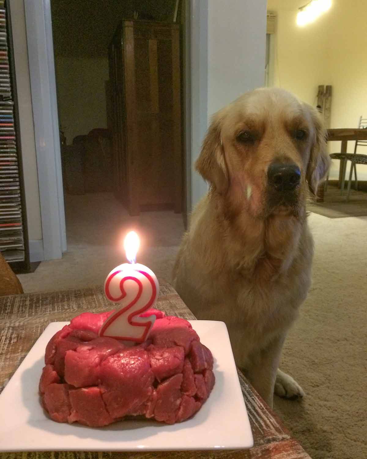 Dozer-birthdays-look-back-13