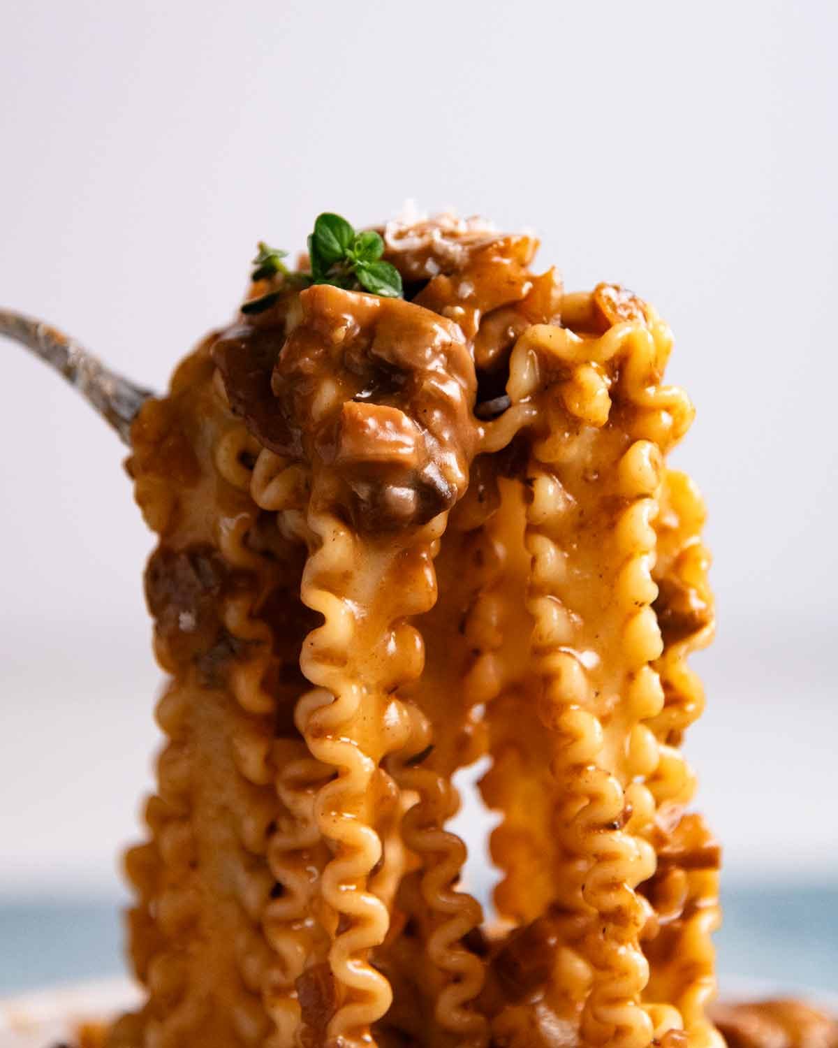 Mushroom ragu
